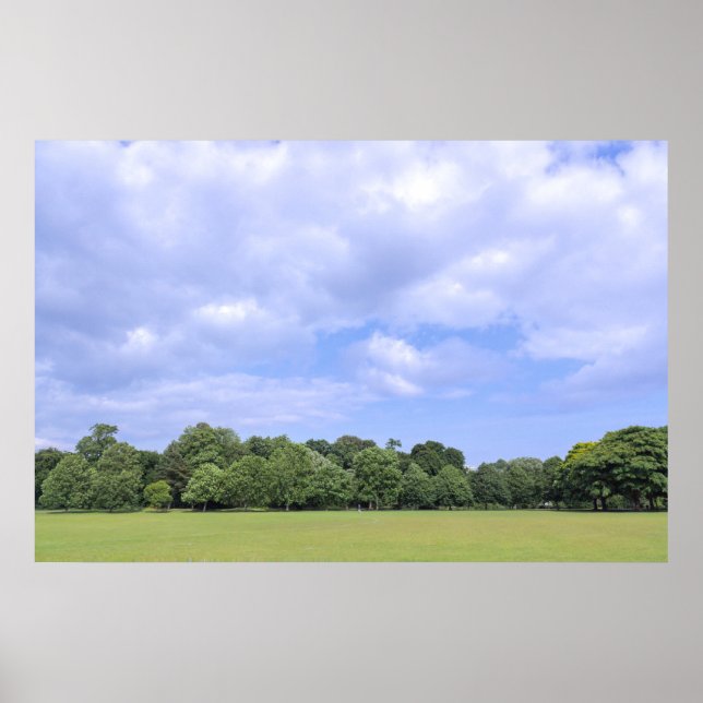 Blackweir Fields. Bute Park, Cardiff, Wales. Poster (Vorne)