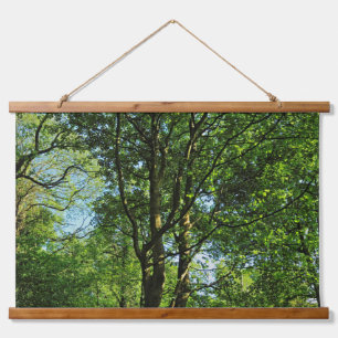 Blackweir Woods, Bute Park, Cardiff Wales Wandteppich Mit Holzrahmen