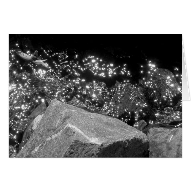 Blackwood Canyon, Lake Tahoe (Vorderseite (Horizontal))