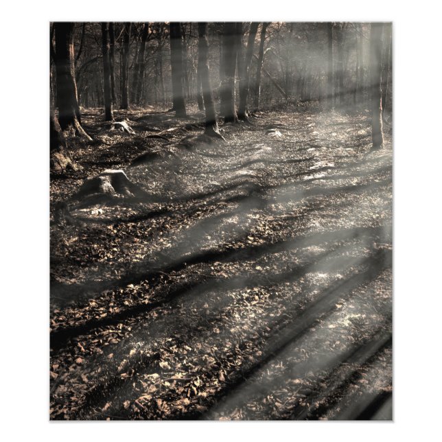 Blair Witch....da drüben! Fotodruck (Vorne)