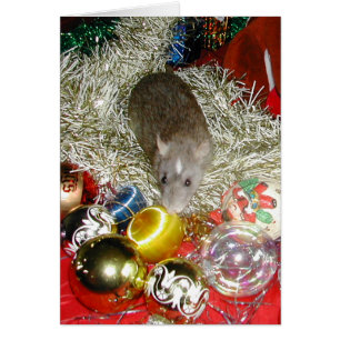 Blaize und der Flitter