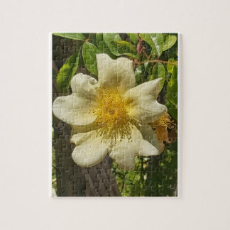 Blanca flor puzzle
