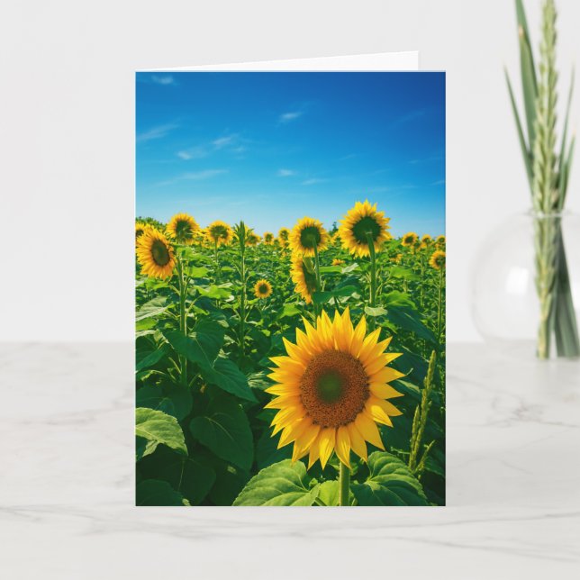 Blanche Foto-Blankokarte/ Hinweis Karte (Vorderseite)