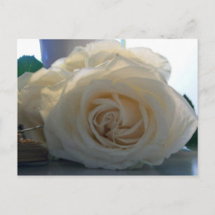 Blanche Postkarte der Serie "Classic White"