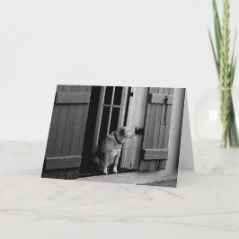 Blank anpassbare Lucky Dog Grußkarte Karte