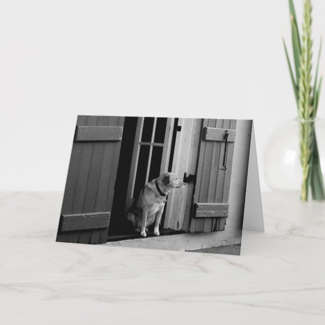 Blank anpassbare Lucky Dog Grußkarte Karte (Vorderseite)