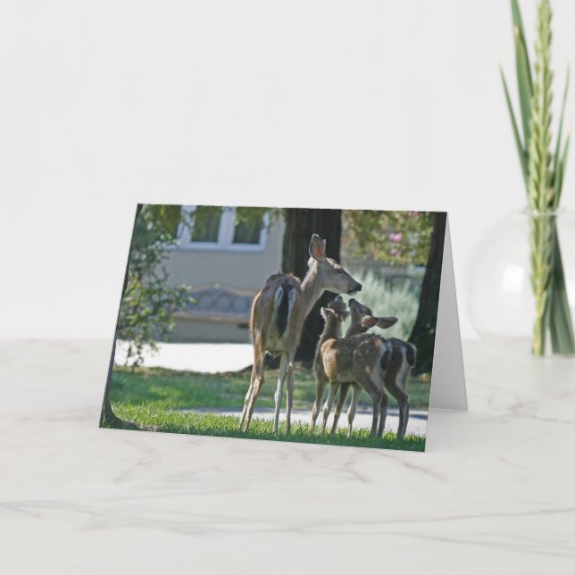 Blank Card, Baby Deh Karte (Vorderseite)