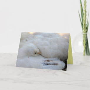 Blank Card mit Verse Karte