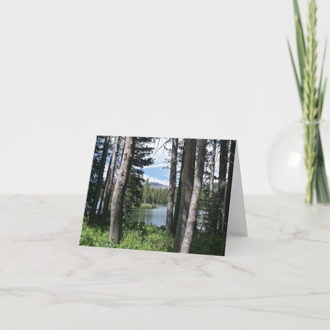 Blank Card, Mountain Lake, Forest Dankeskarte (Vorderseite)