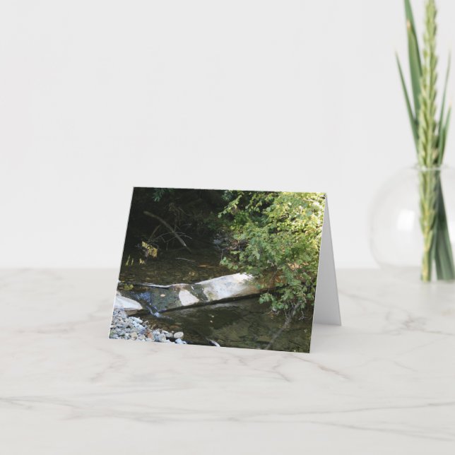 Blank Card, Muir Woods Dankeskarte (Vorderseite)