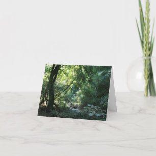 Blank Card, Muir Woods Dankeskarte