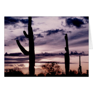 Blank Card - Saguaro bei Sonnenuntergang