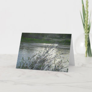 Blank Card: Salinas River in Paso Robles, 2010 Karte