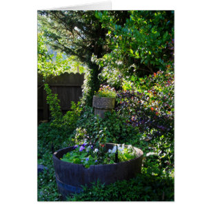 Blank Card, Viola Garden