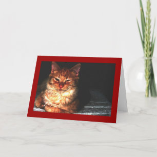 Blank Cat Grußkarte... Karte