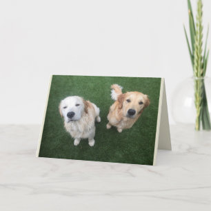 Blank Golden Retriever Greeting Card Karte