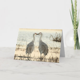 Blank Greeting Card mit Sandhill Cranes Karte