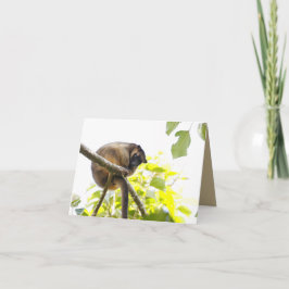 Blank Grußkarte mit Tree Kangaroo Karte