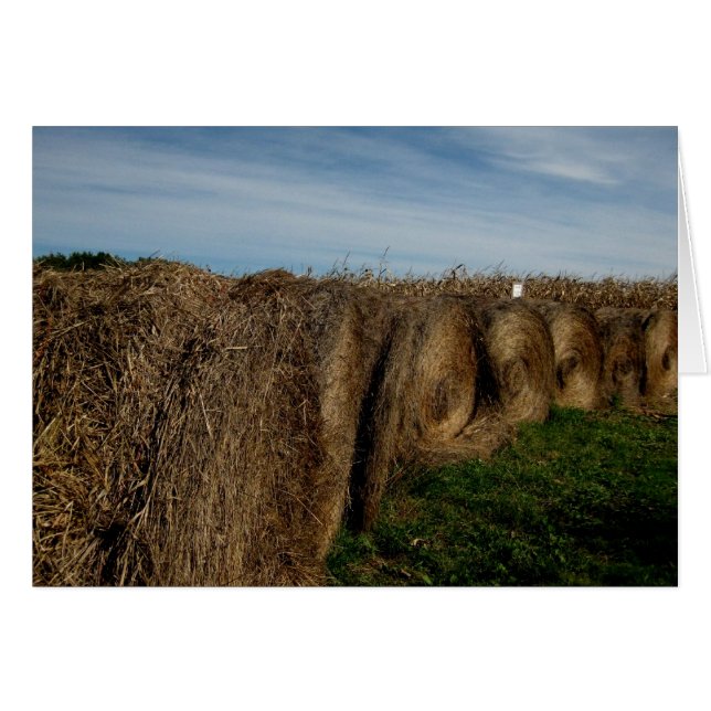Blank_Hay Bales (Vorderseite (Horizontal))
