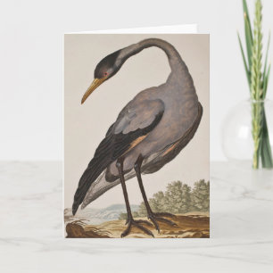 Blank Heron Notecard aus dem 18. Jahrhundert Karte