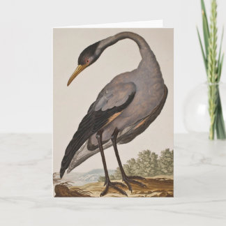 Blank Heron Notecard aus dem 18. Jahrhundert Karte