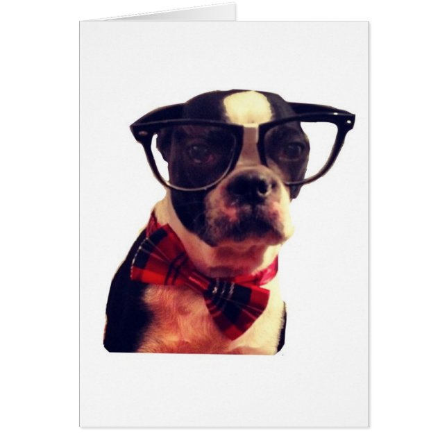 Blank Hipster Boston Terrier card (Vorne)