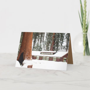 Blank Holiday Grußkarte mit verschneiten Redwoods Karte