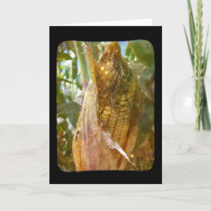 Blank im Jeder Anlass für Feldkorn Karte