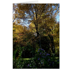 Blank_Mauve Tree