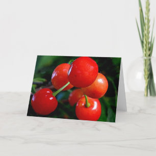 Blank Note Card: Cherries Karte