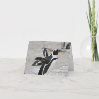 Blank Note Card - Flapping Pinguin