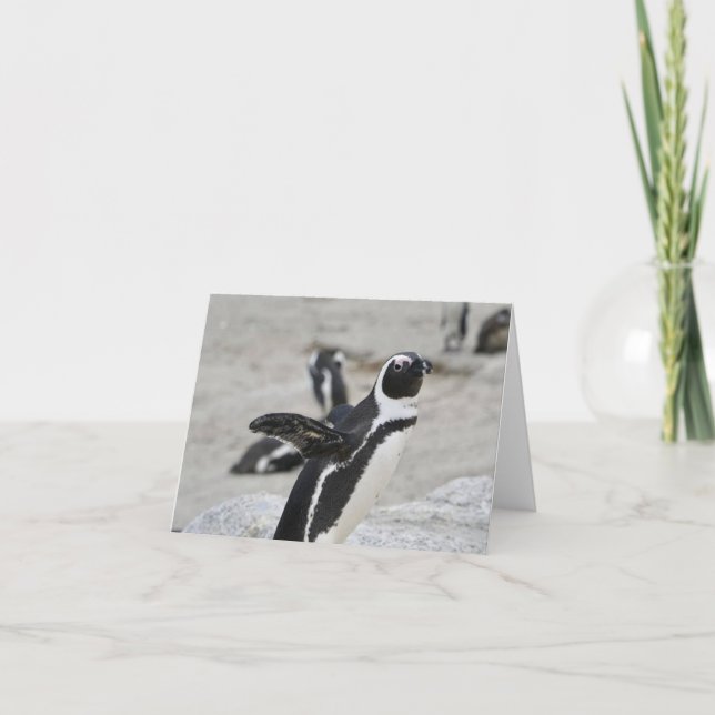 Blank Note Card - Flapping Pinguin (Vorderseite)