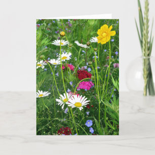 Blank Note Card: Frühjahr-Wildblumen Karte