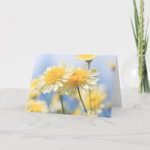 Blank Note Card - Gelb-Gelb-Marguerite-Daisy Karte