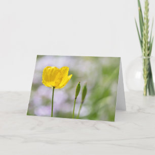 Blank Note Card - Gelber walisischer Mohn Karte