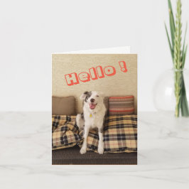 Blank Note Card Hund Sprichwort Hallo Karte