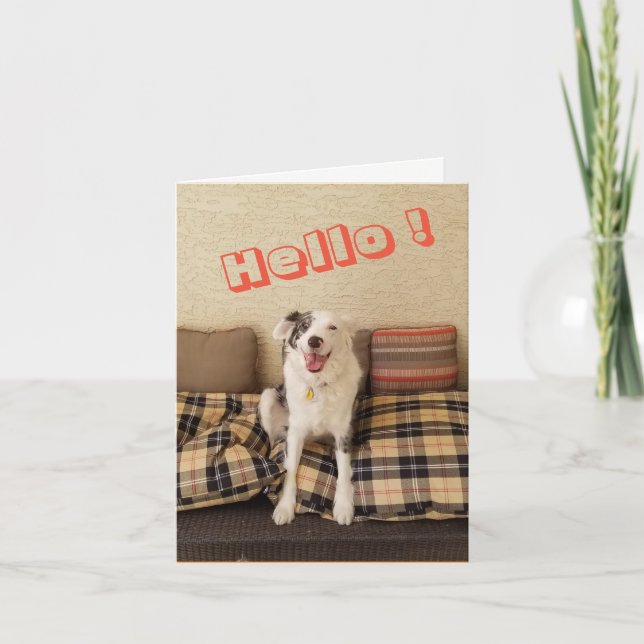 Blank Note Card Hund Sprichwort Hallo Karte (Vorderseite)