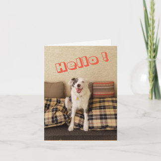 Blank Note Card Hund Sprichwort Hallo Karte