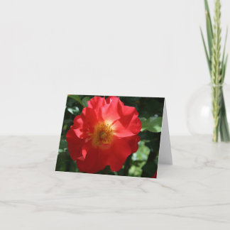 Blank Note Card: Majestic Rose Karte