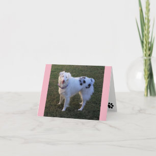 Blank Note card mit Australian Shepherd Karte