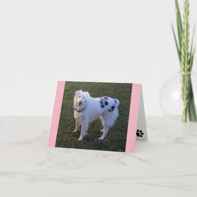 Blank Note card mit Australian Shepherd Karte (Vorderseite)