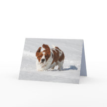 Blank Note Card mit schönem Basset Hound