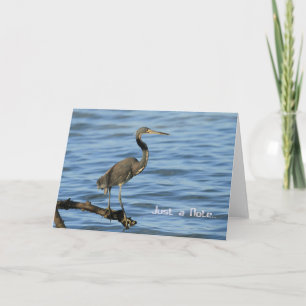 Blank Note Card mit Trikolon Heron Karte