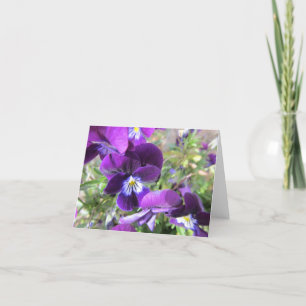 Blank Note Card--Violets Karte
