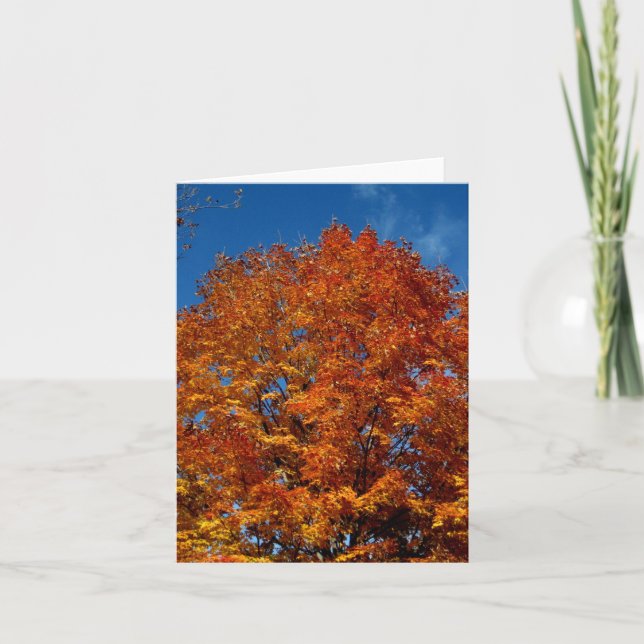 Blank_Orange Tree Top Fire Karte (Vorderseite)