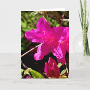 Blank Pink Azaelea Karte
