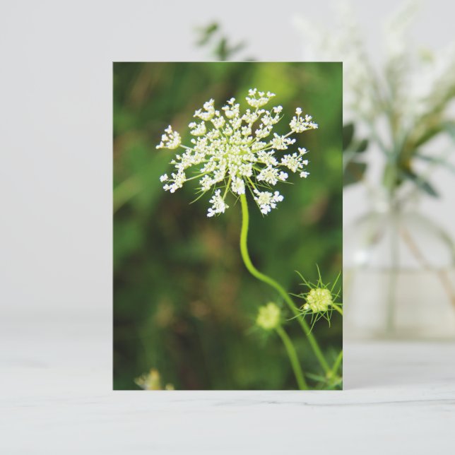 Blank Queen Anne's Lace-Wildblume Mitteilungskarte (Stehend Vorderseite)