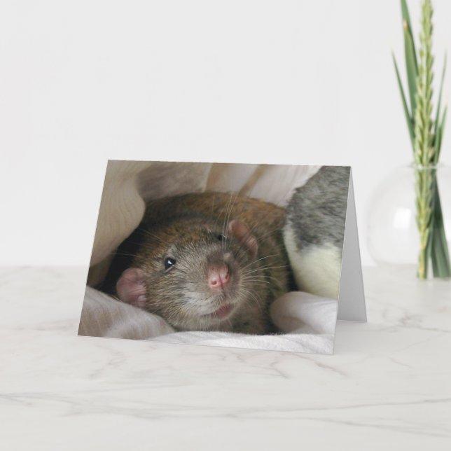 Blank-Rat-Karte Karte (Vorderseite)