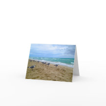 Blank Seagull Beach Card