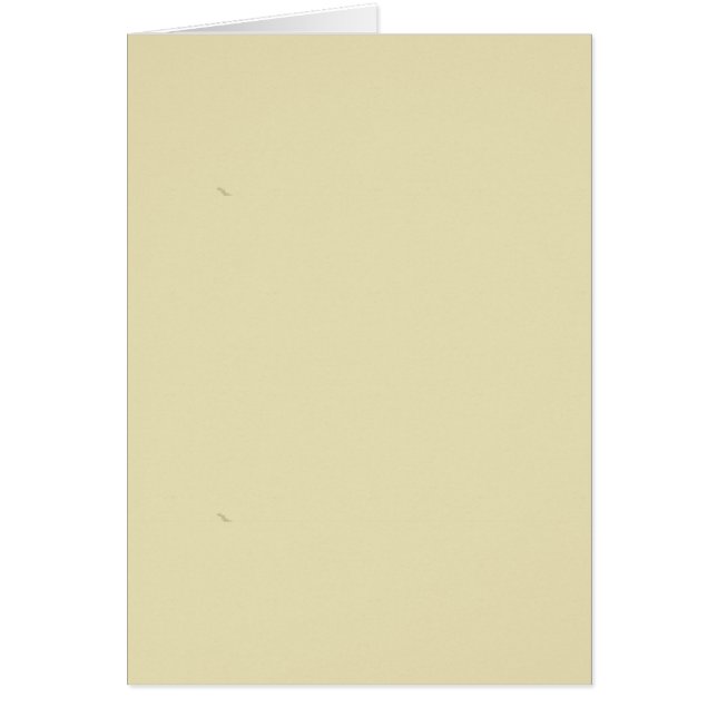 Blank Shade TEMPLATE einfach anpassen TEXT FOTO hi (Vorne)